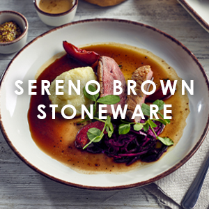 Sereno Brown Terra Stoneware